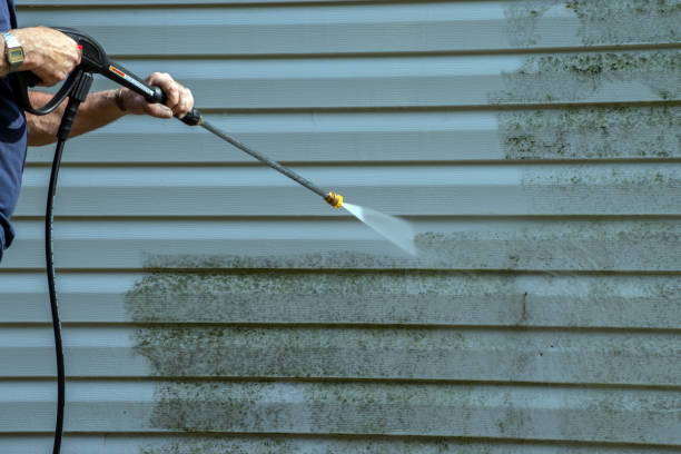 Best Deck Pressure Washing  in Spring Valley, CA
