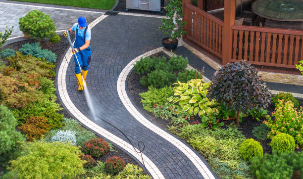 Best Sidewalk Pressure Washing  in Spring Valley, CA